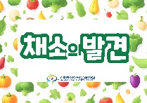 채소의 발견(채소를 이용한 요리활동을 통한 식습관 개선 프로그램)