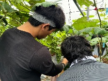 대학생 봉사단 시우터