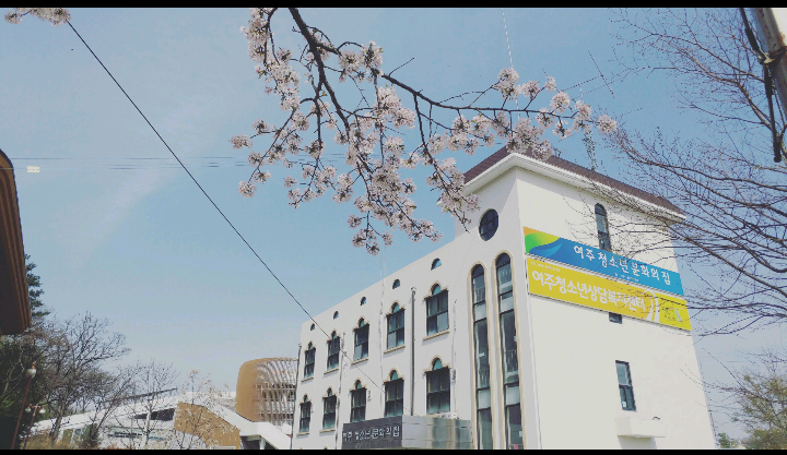업로드 이미지