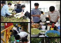 서귀포시청소년수련관 '유기농 텃밭 가꾸기' 프로그램 운영
