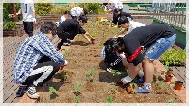 안덕청소년문화의집 '하늘정원 가드닝'