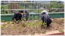 안덕청소년문화의집 '하늘정원 가드닝'