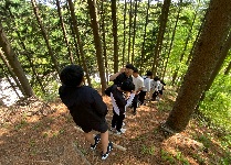 건강한 숲으로