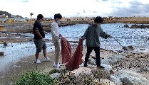 결자海지