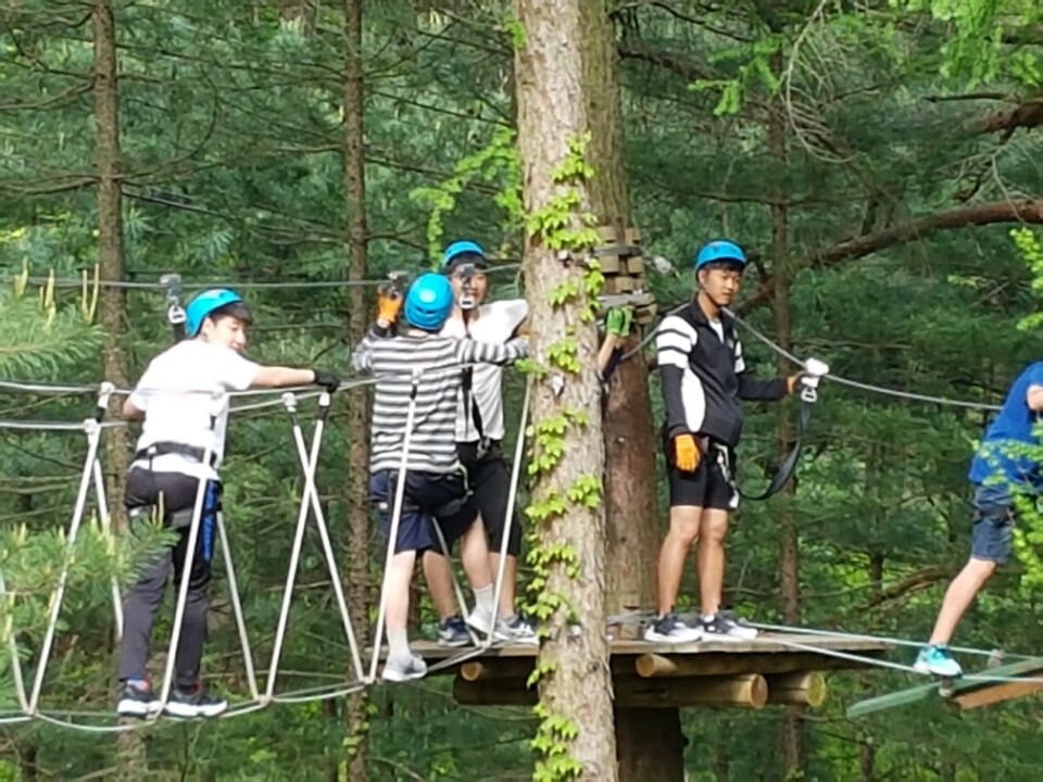 업로드 이미지