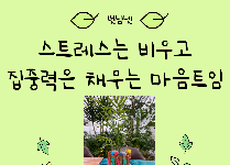 스트레스는 비우고 집중력은 채우는 마음트임_1.수경식물