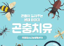 슬기로운 곤충생활(초등학교)