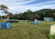 협력 서바이벌(중학교)