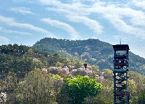 호연지기 모험활동(고등학교 2박3일)