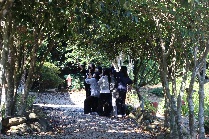 브레이크 연속부절(고등학교)
