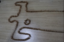 세움 도미노(초등학교)