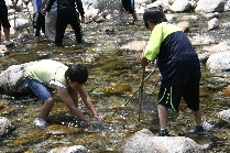 생태계탐사(고등학교)