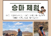힐링 전통 체험 [약과, 승마]