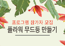 디자인 플로리스트