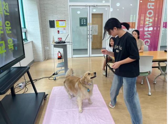 업로드 이미지