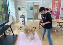 우리가족 댕댕이 season2