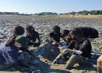 섬마을 갯벌 (고등학교)