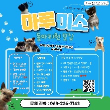 효자청소년센터 반려인 동아리 "마루미소"