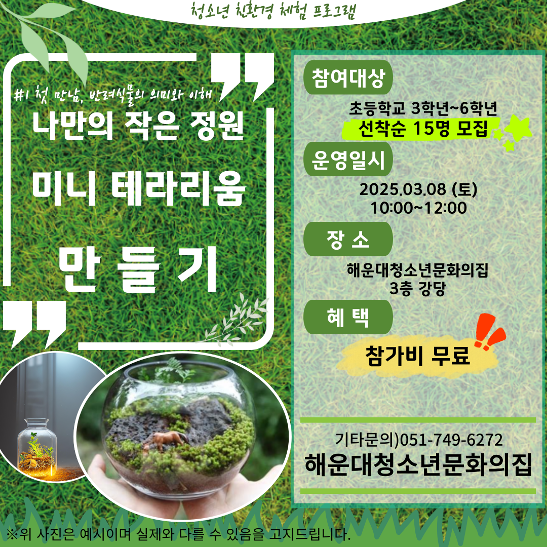 미니 테라리움 만들기