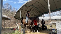 승마체험(고등학교)