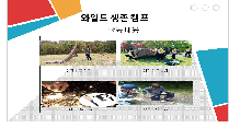 와일드 생존 캠프(중학교)