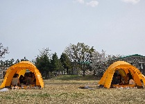 캠핑체험(중학교)