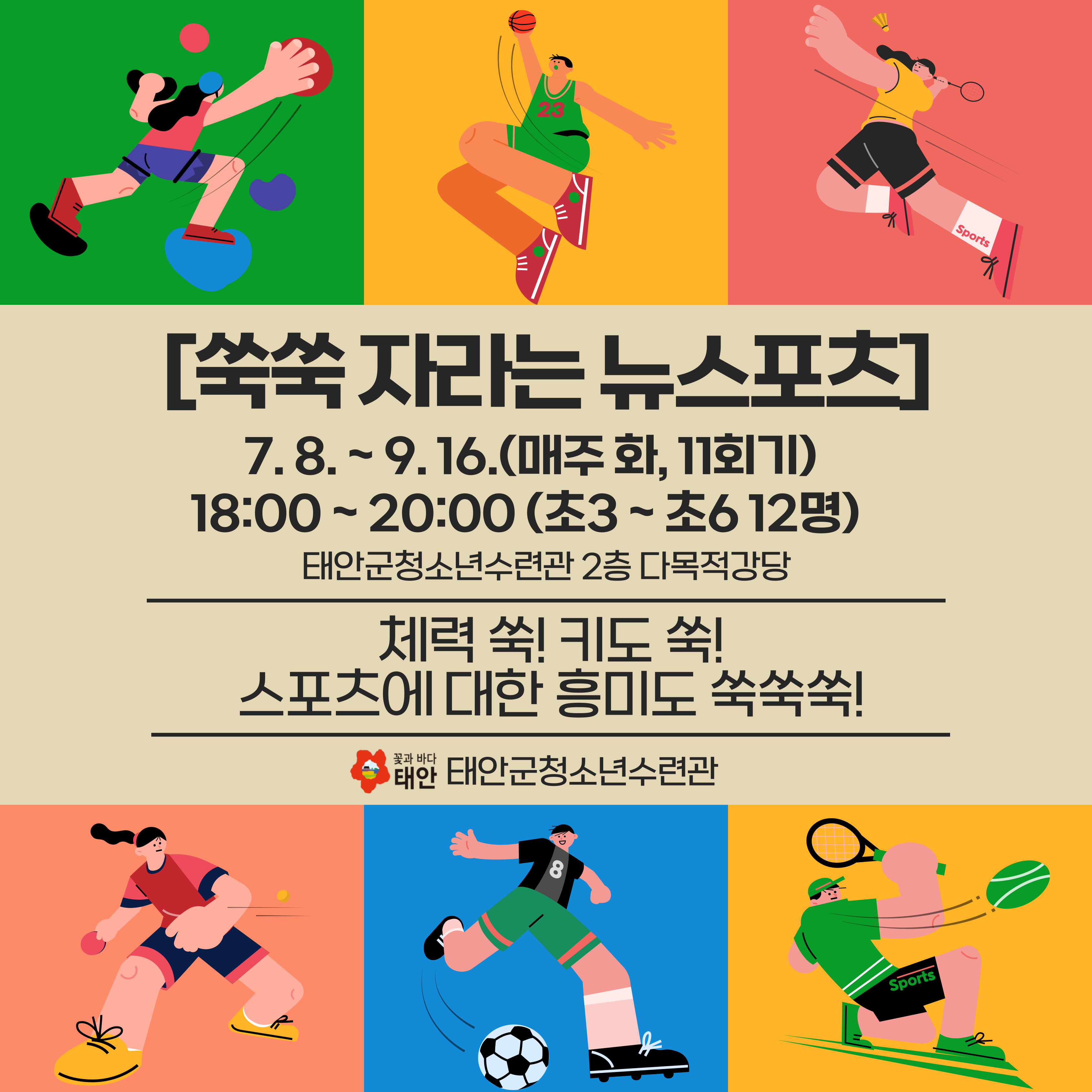 쑥쑥 자라는 뉴스포츠