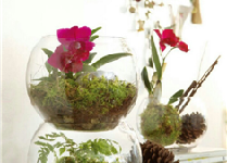 우리집  작은 정원