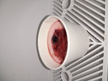 북평제과제빵점