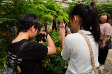 사진동아리 찰칵