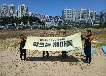 다대포 해수욕장 환경정화 활동